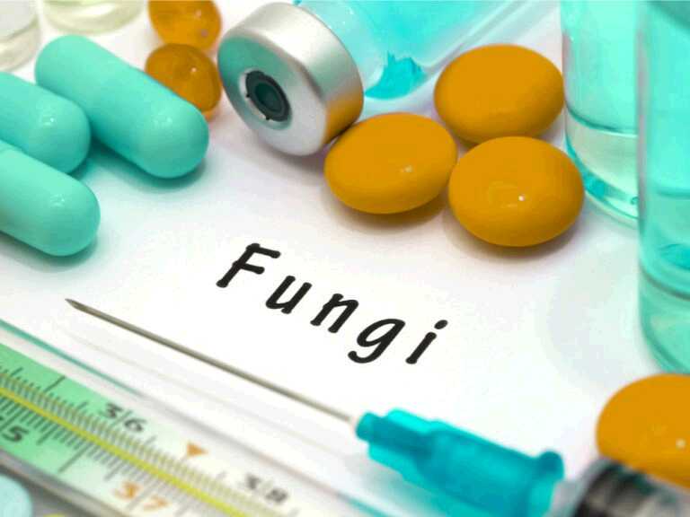 what-are-the-most-common-antifungal-drugs-treating-fungus